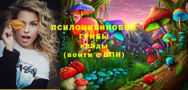 скорость Алзамай