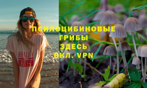скорость Алзамай