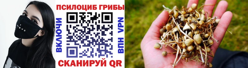 Галлюциногенные грибы MAGIC MUSHROOMS  Новая Ляля 